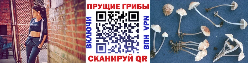 Галлюциногенные грибы MAGIC MUSHROOMS  где продают   Спас-Клепики 
